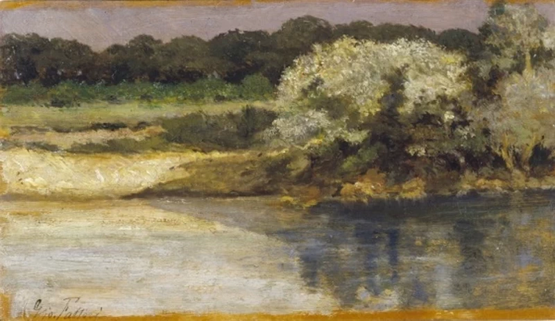 Laghetto a San Rossore